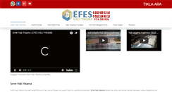 Desktop Screenshot of efeshaliyikama.com
